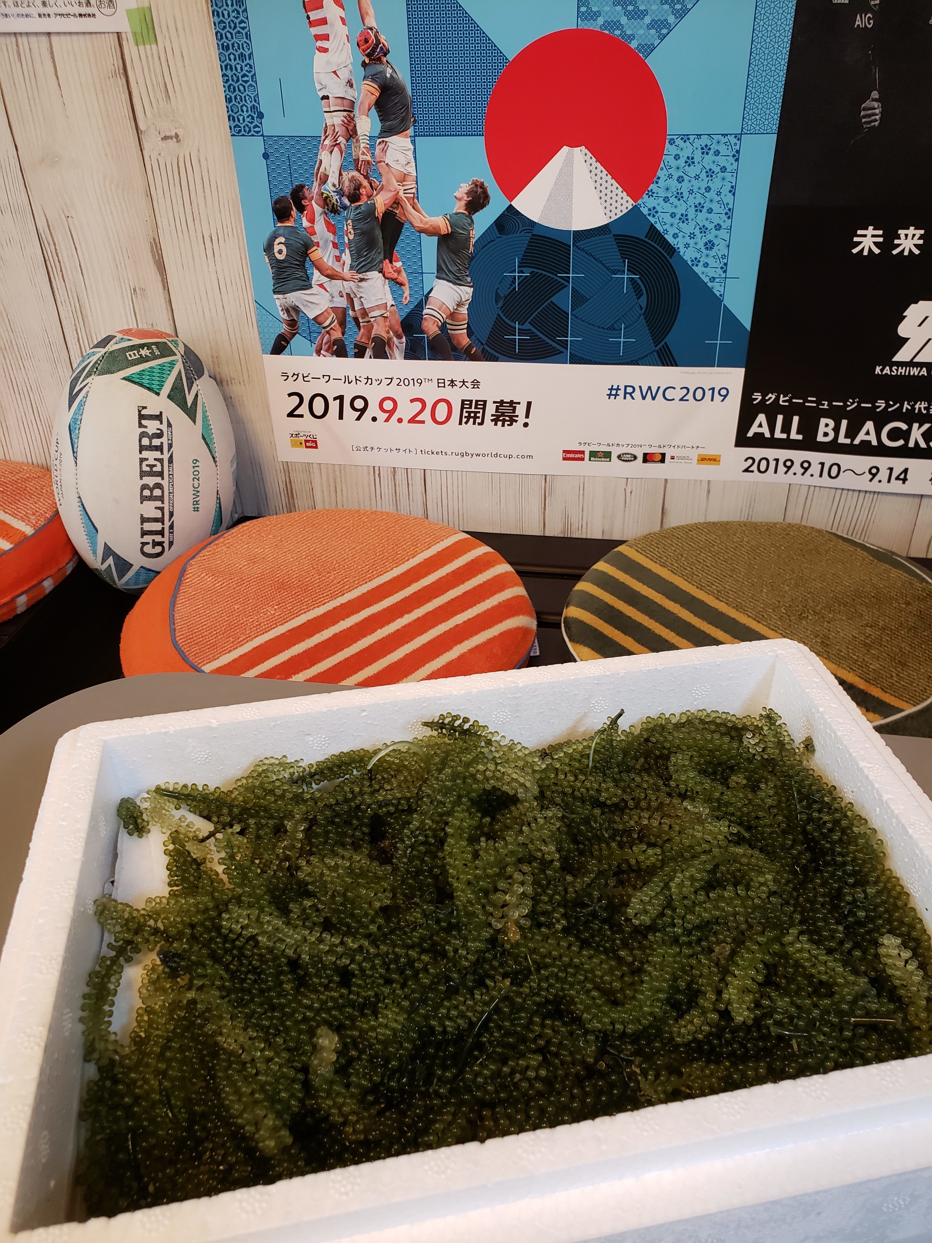 良いですね~、これは良ぃぃ~ですね~!!日本アゲアゲ亭 良いですね~、これは良ぃぃ~ですね~!!日本アゲアゲ亭
