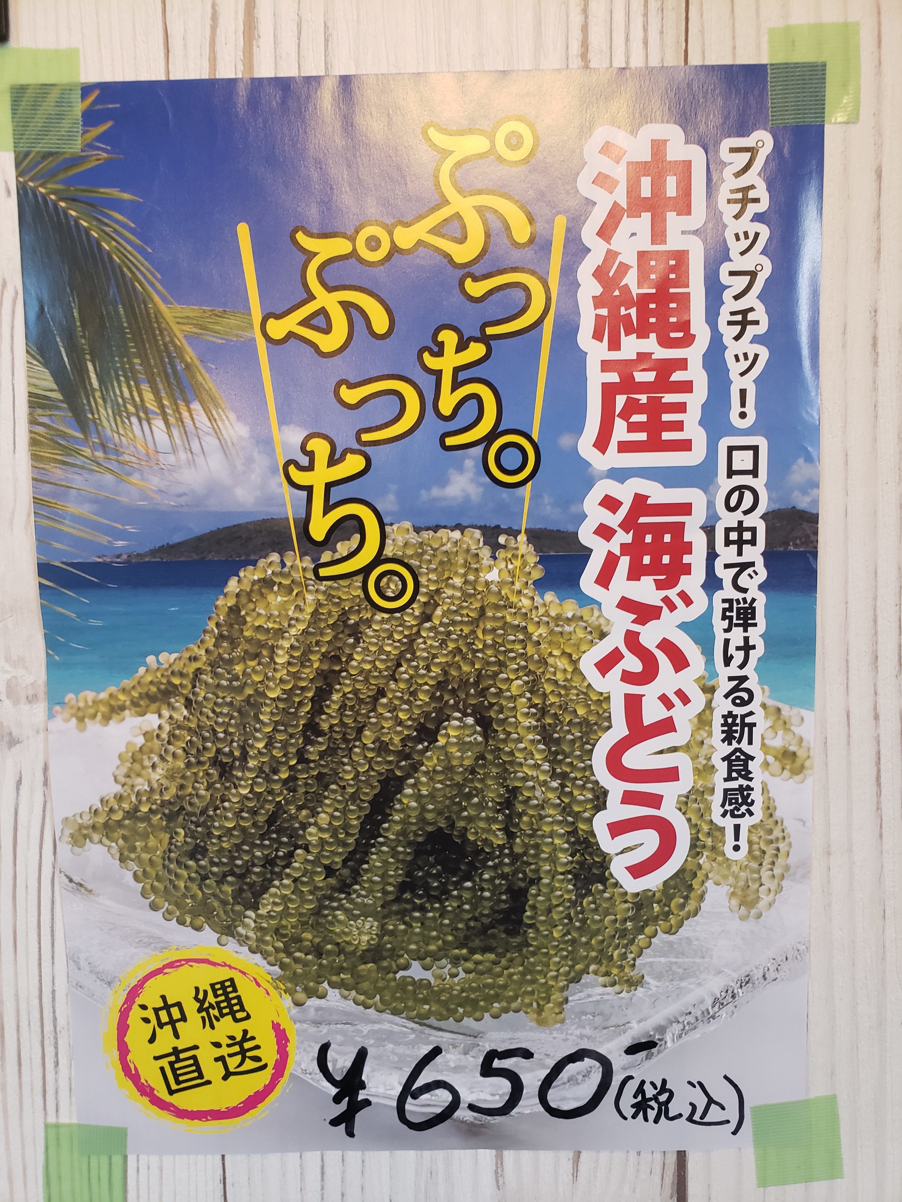 暑い!!いや、涼しい!?日本アゲアゲ亭 暑い!!いや、涼しい!?日本アゲアゲ亭