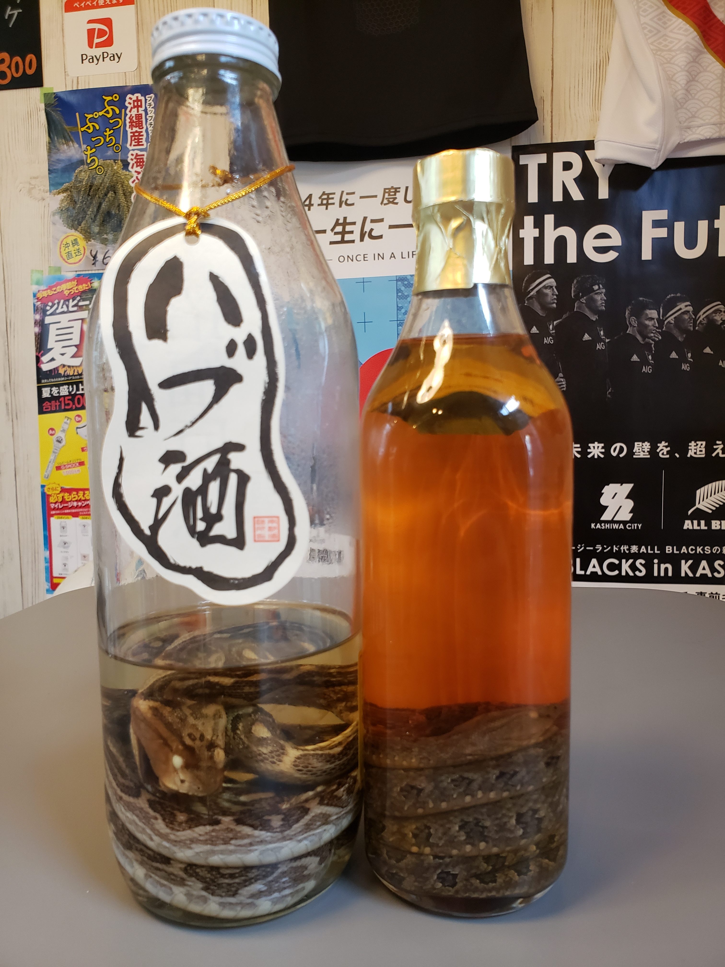 夏だ!ハブだ!!ハブみざわ~!!日本アゲアゲ亭 夏だ!ハブだ!!ハブみざわ~!!日本アゲアゲ亭