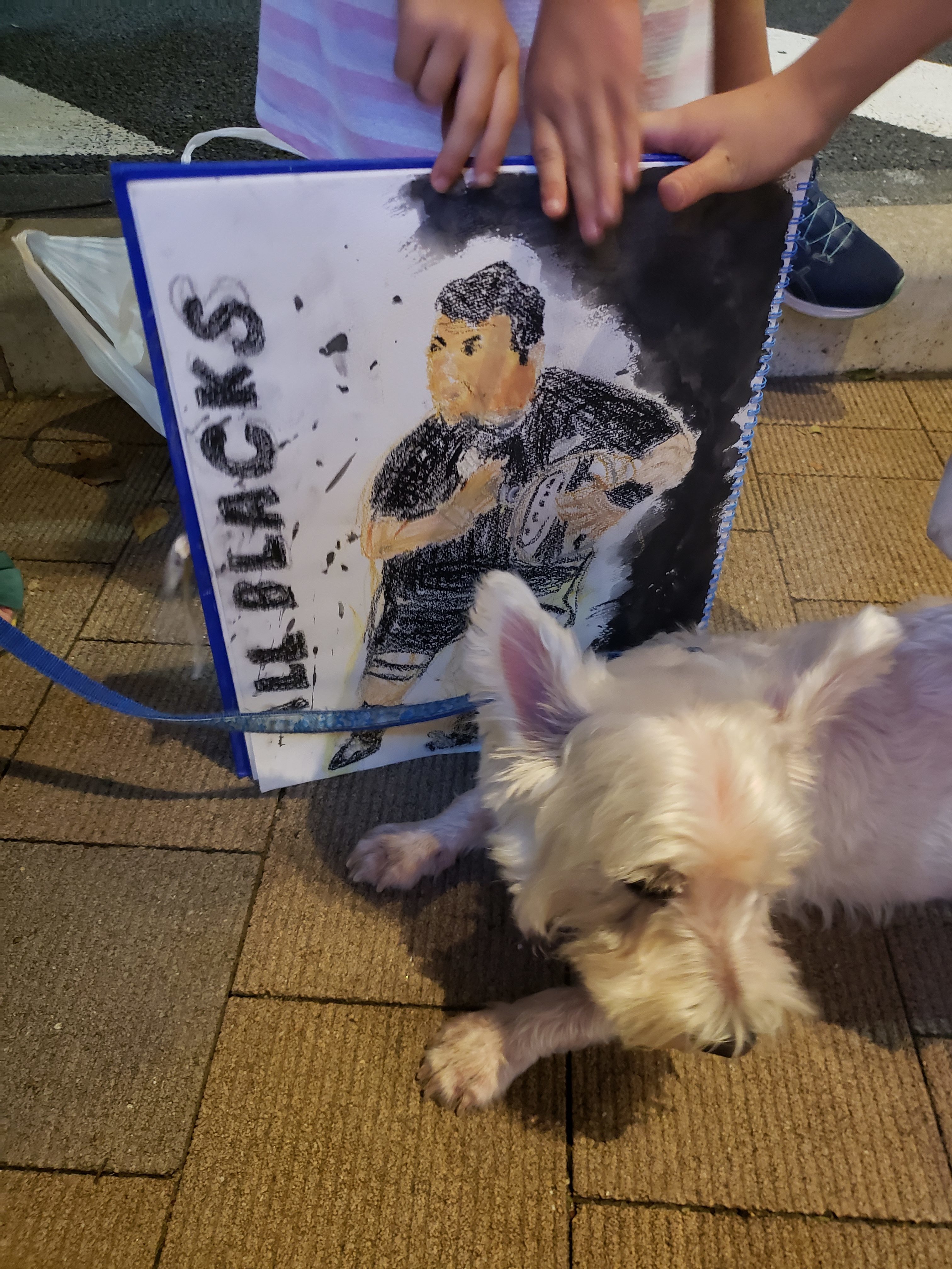 オールブラックスってやっぱり!!日本アゲアゲ亭 オールブラックスってやっぱり!!日本アゲアゲ亭